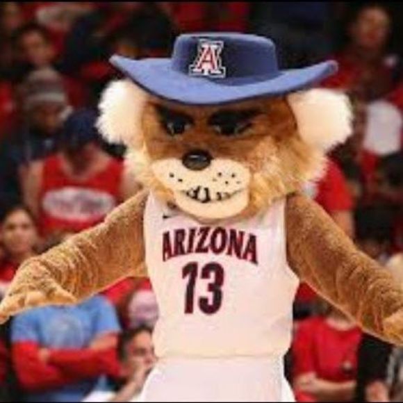 Meet your Posher, Tomas - Picture 1 of 1